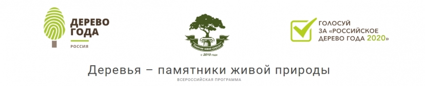 Всероссийский конкурс «Российское дерево года» 2020